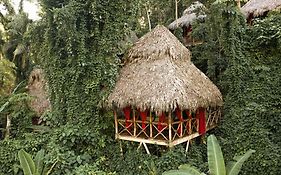 Dominican Tree House Village